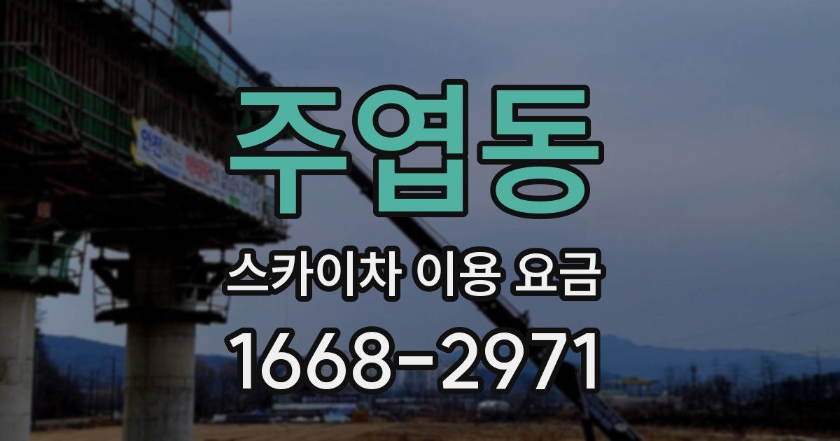 주엽동 스카이차 이용 요금