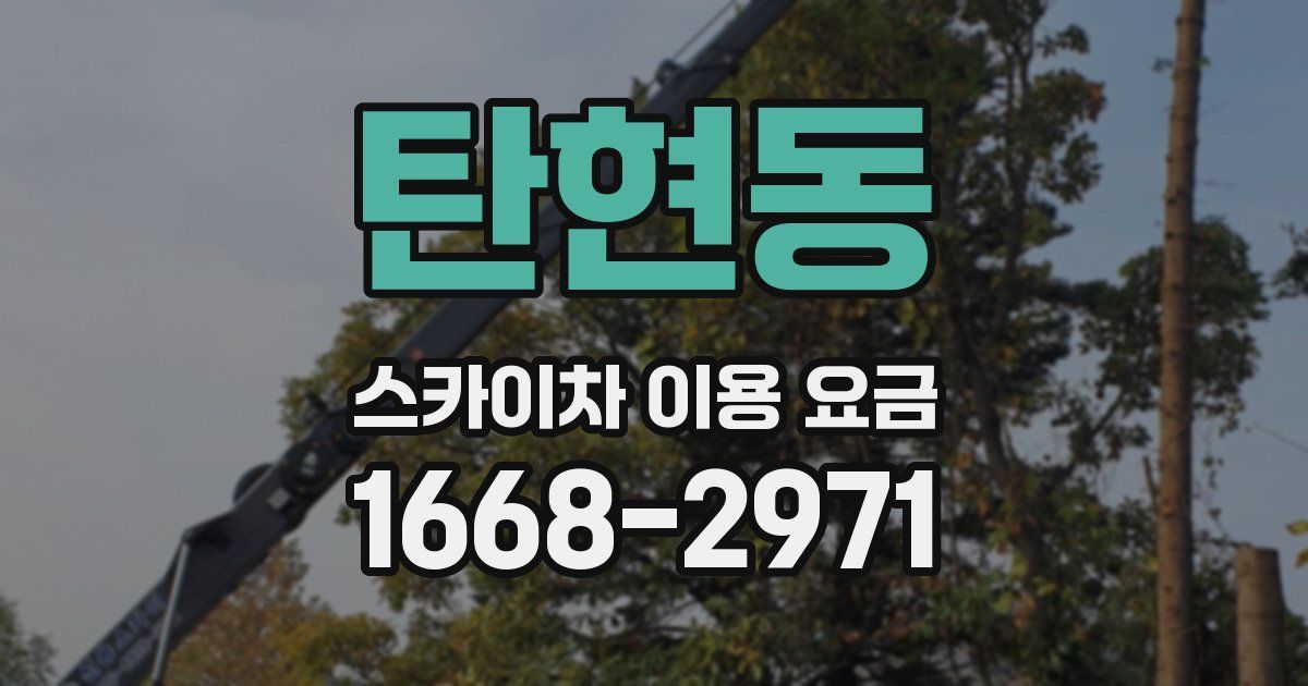탄현동 스카이차 이용 요금