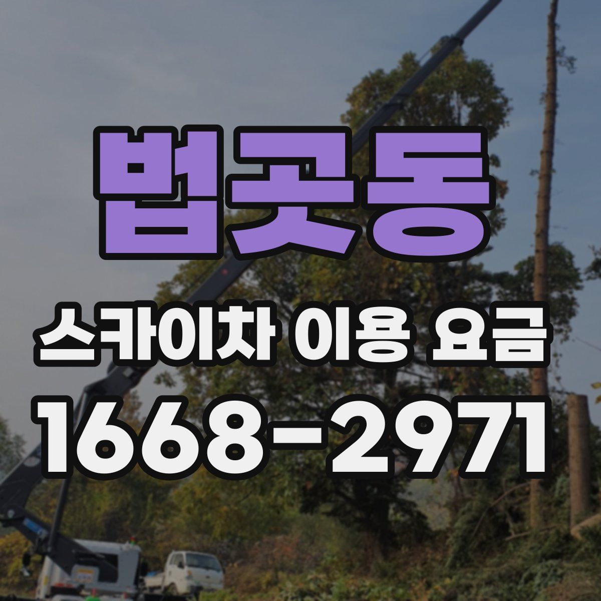 법곳동 스카이차 이용 요금