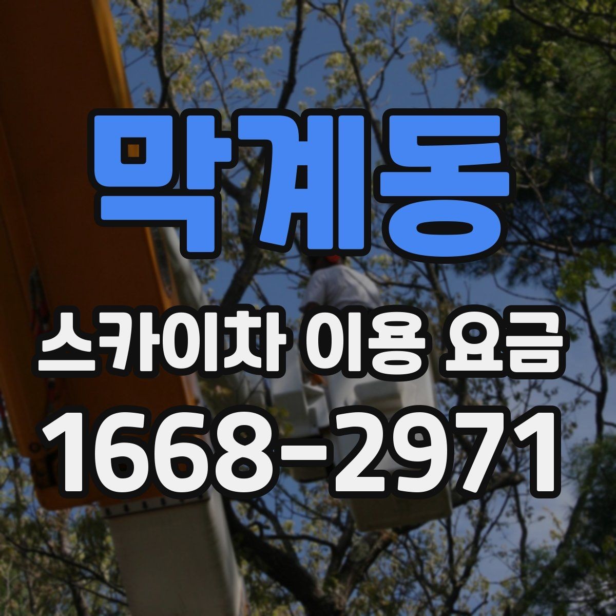 막계동 스카이차 이용 요금 비교에서 주목할 조건