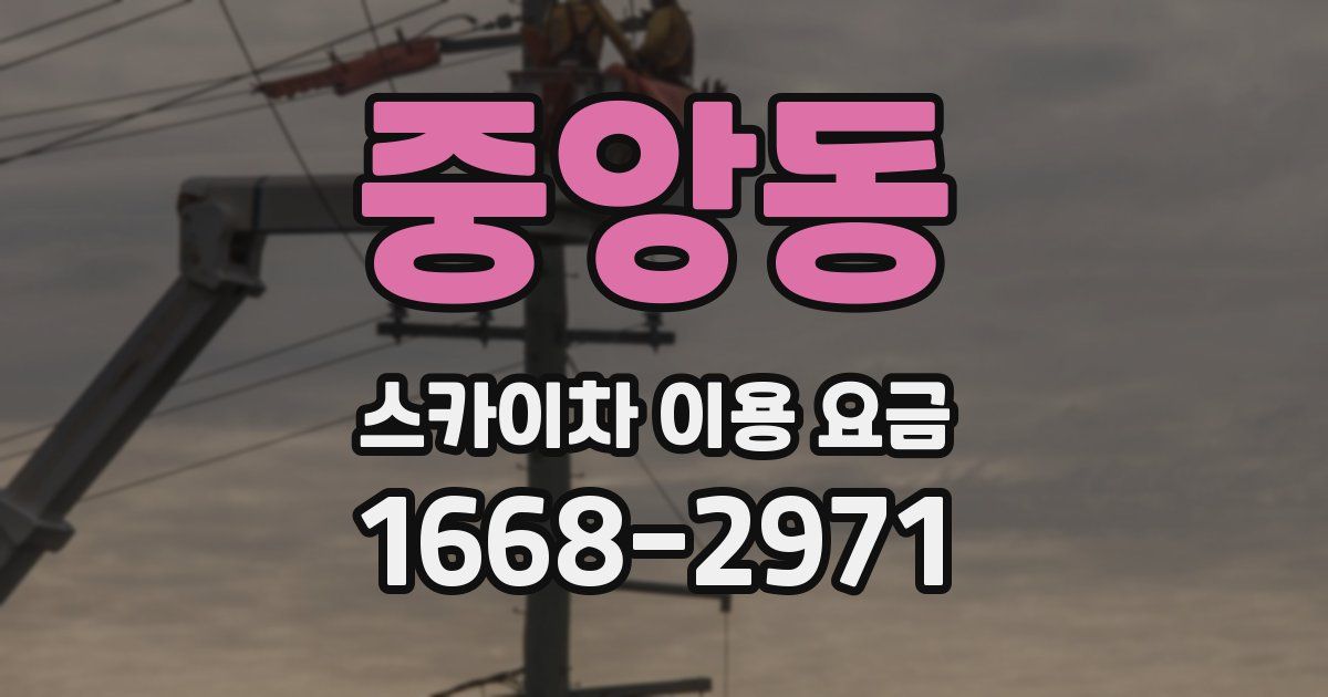 중앙동 스카이차 이용 요금