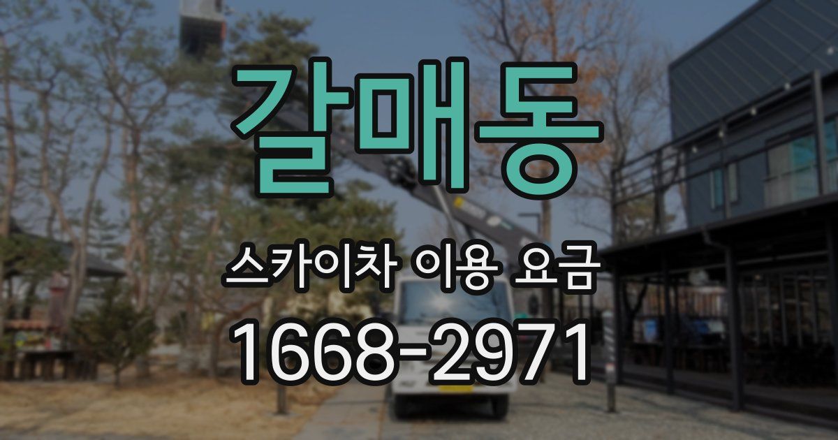 갈매동 스카이차 이용 요금