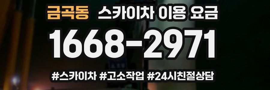 금곡동 스카이차 이용 요금