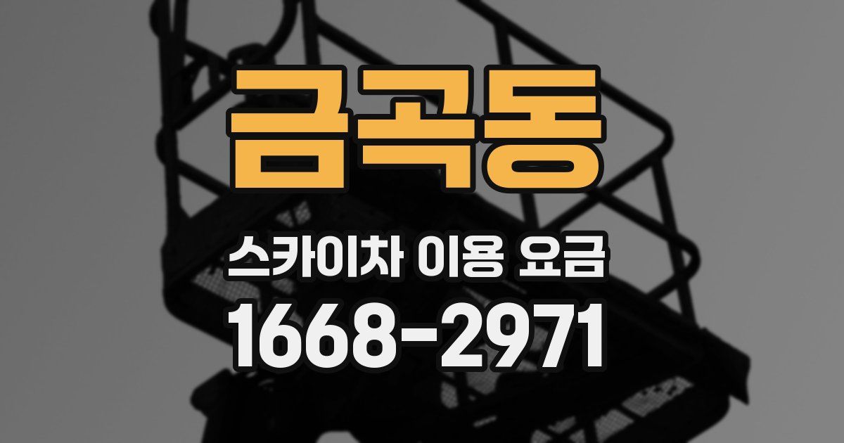 금곡동 스카이차 이용 요금