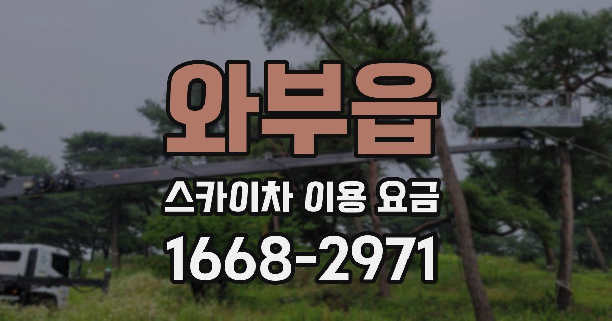 와부읍 스카이차 이용 요금