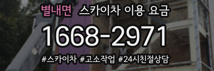 별내면 스카이차 이용 요금