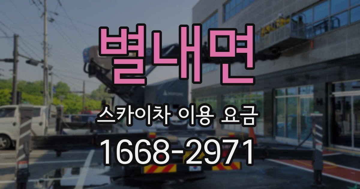 별내면 스카이차 이용 요금