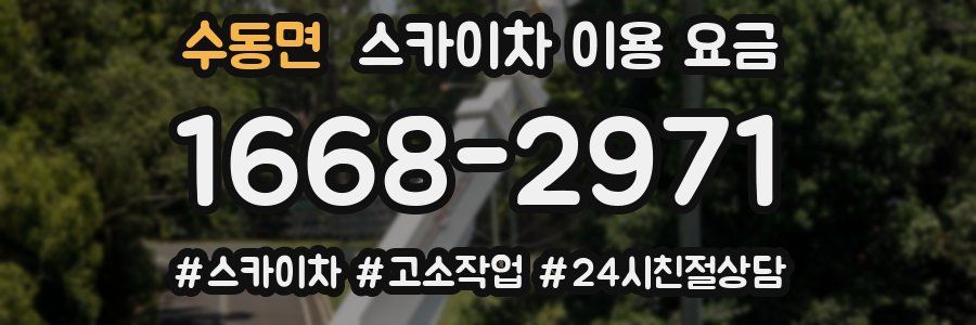 수동면 스카이차 이용 요금
