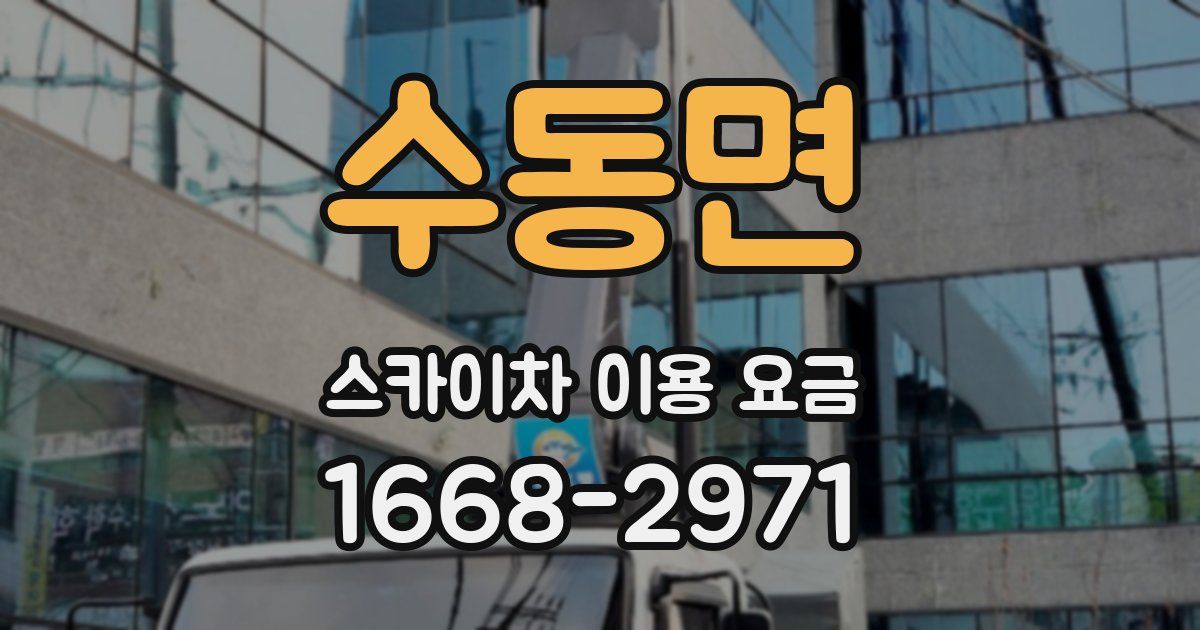 수동면 스카이차 이용 요금