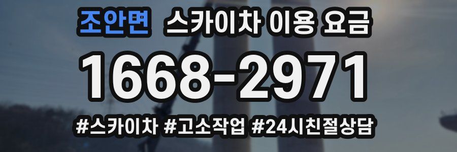 조안면 스카이차 이용 요금