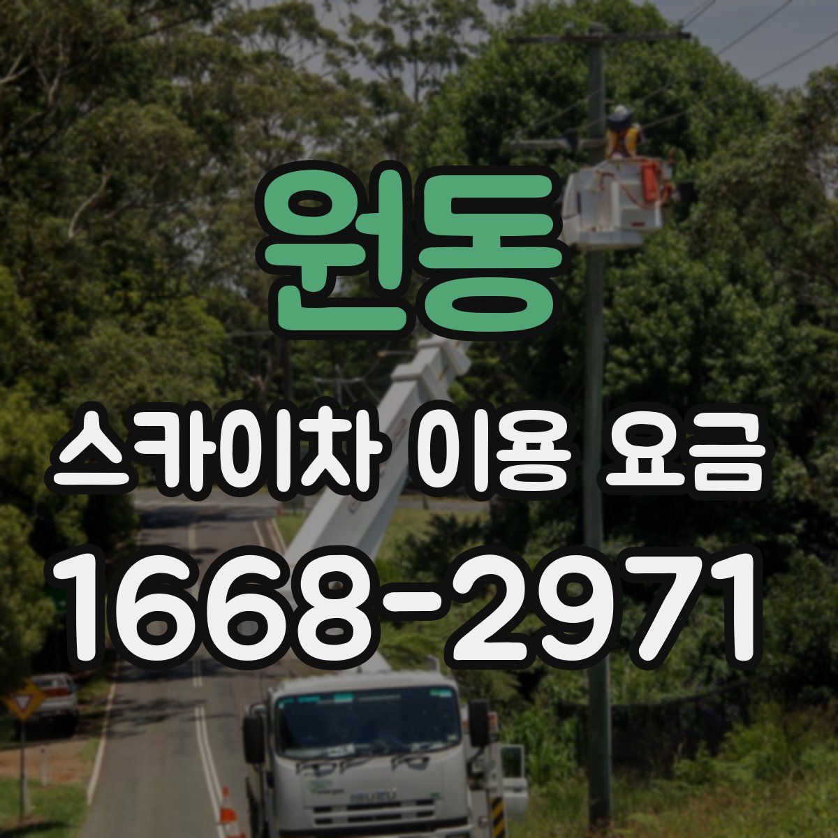 원동 스카이차 이용 요금