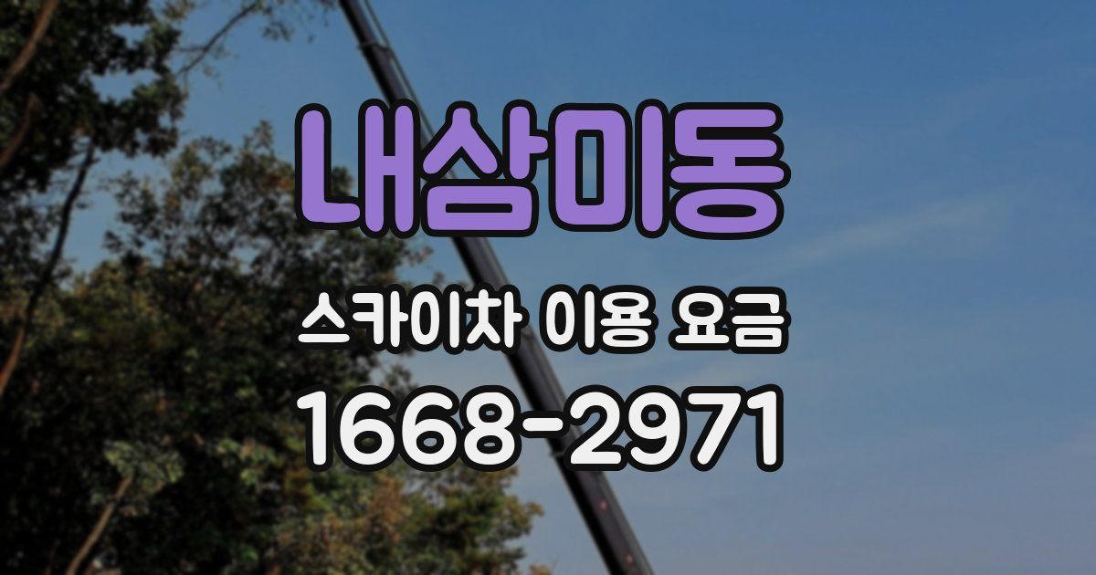 내삼미동 스카이차 이용 요금