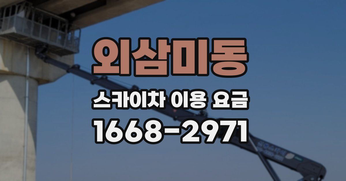외삼미동 스카이차 이용 요금