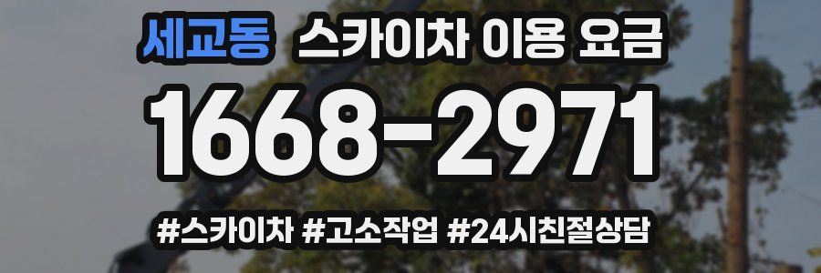 세교동 스카이차 이용 요금
