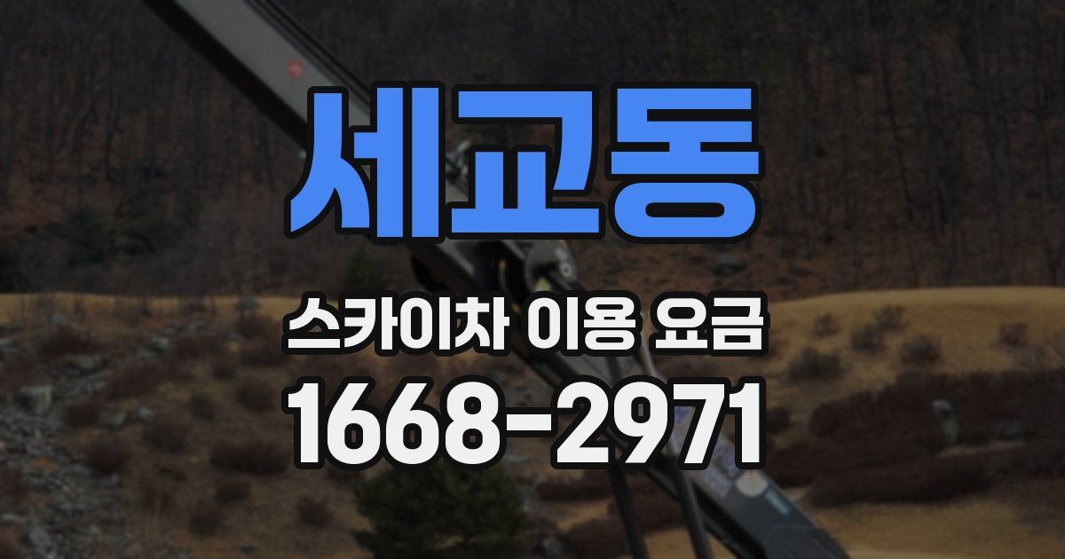 세교동 스카이차 이용 요금