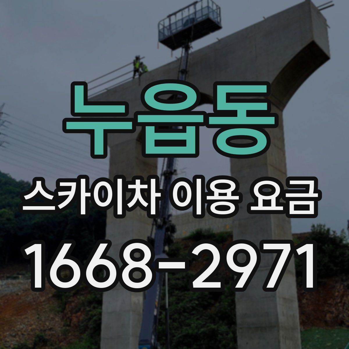 누읍동 스카이차 이용 요금