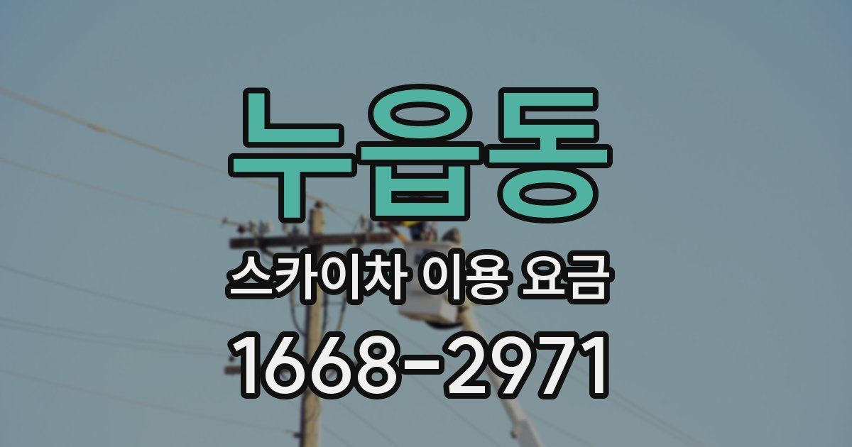누읍동 스카이차 이용 요금