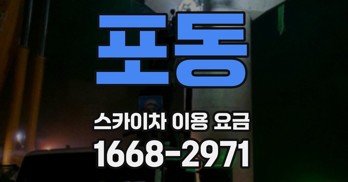포동 스카이차 이용 요금