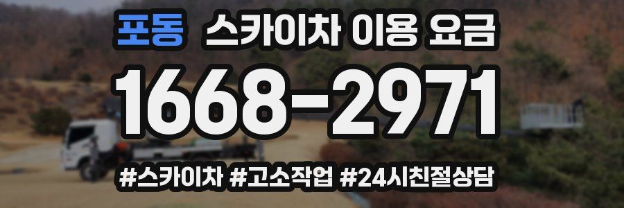 포동 스카이차 이용 요금