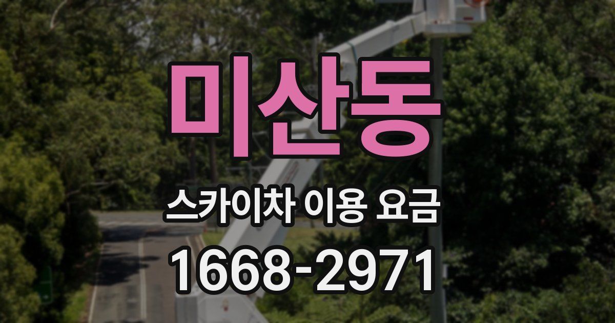 미산동 스카이차 이용 요금