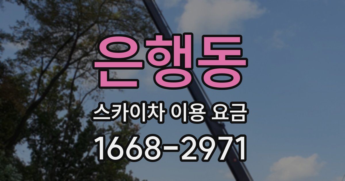 은행동 스카이차 이용 요금