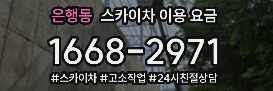 은행동 스카이차 이용 요금