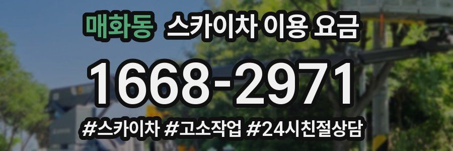 매화동 스카이차 이용 요금