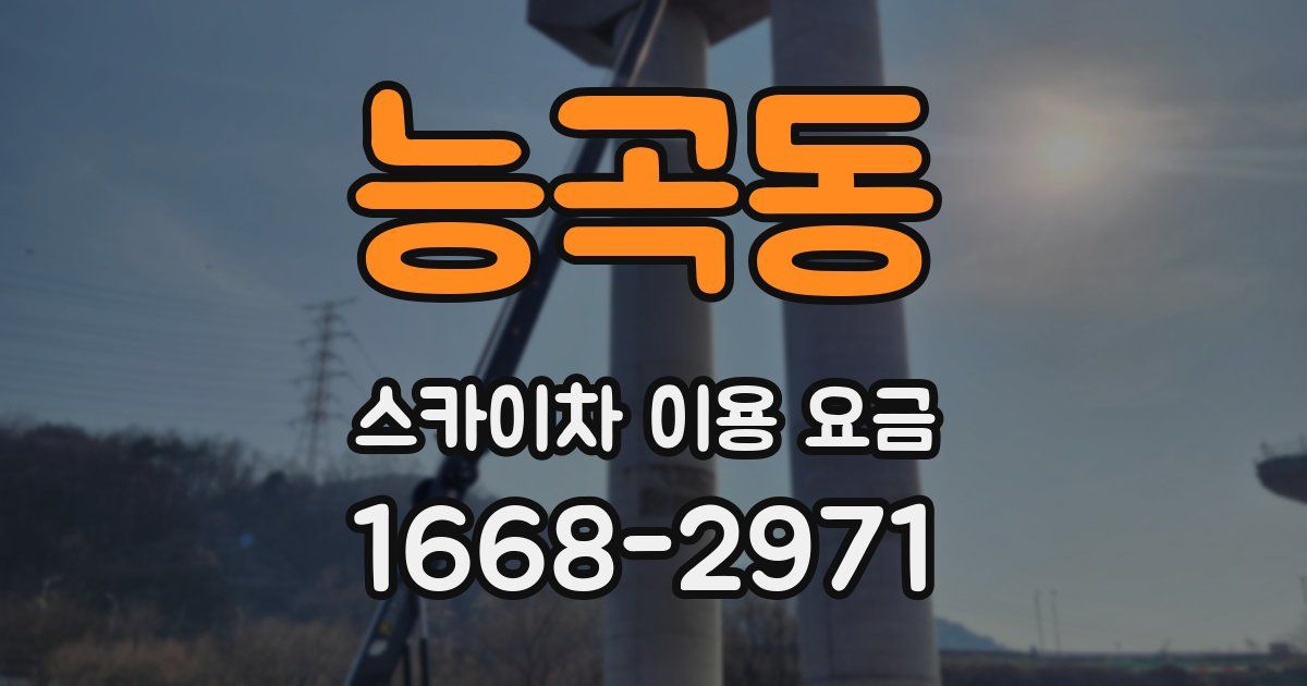 능곡동 스카이차 이용 요금
