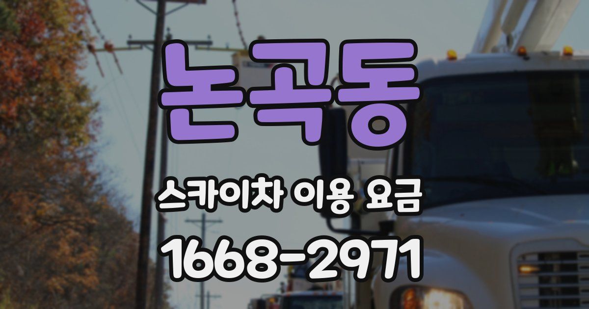 논곡동 스카이차 이용 요금