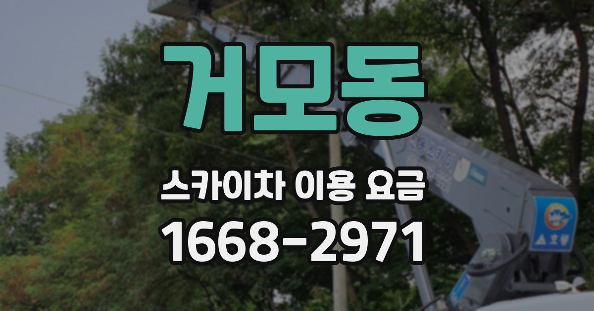 거모동 스카이차 이용 요금