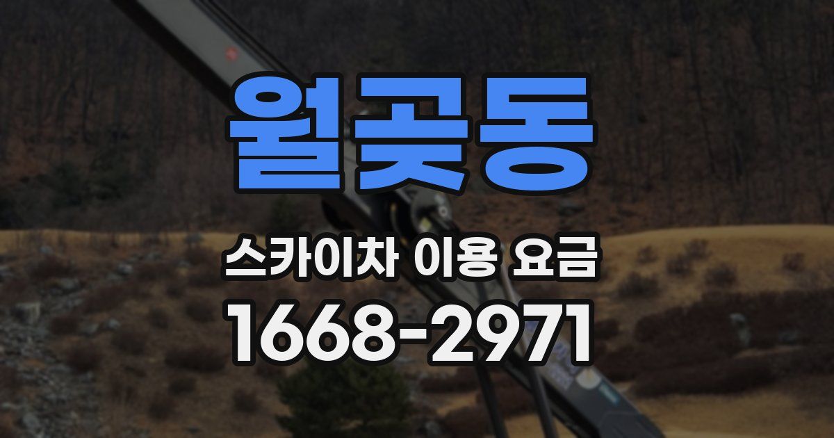 월곶동 스카이차 이용 요금