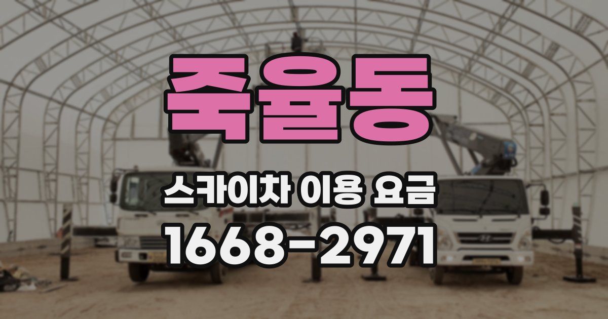 죽율동 스카이차 이용 요금