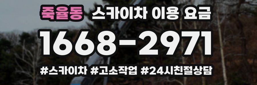 죽율동 스카이차 이용 요금