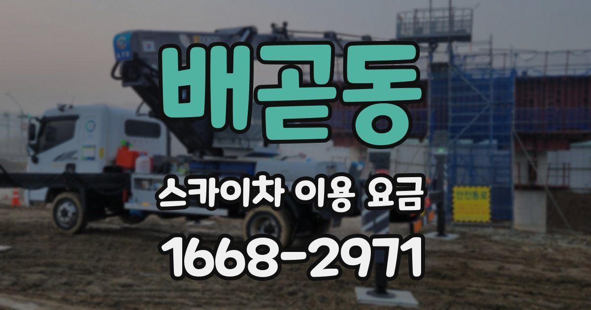 배곧동 스카이차 이용 요금