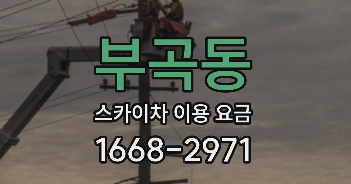 부곡동 스카이차 이용 요금