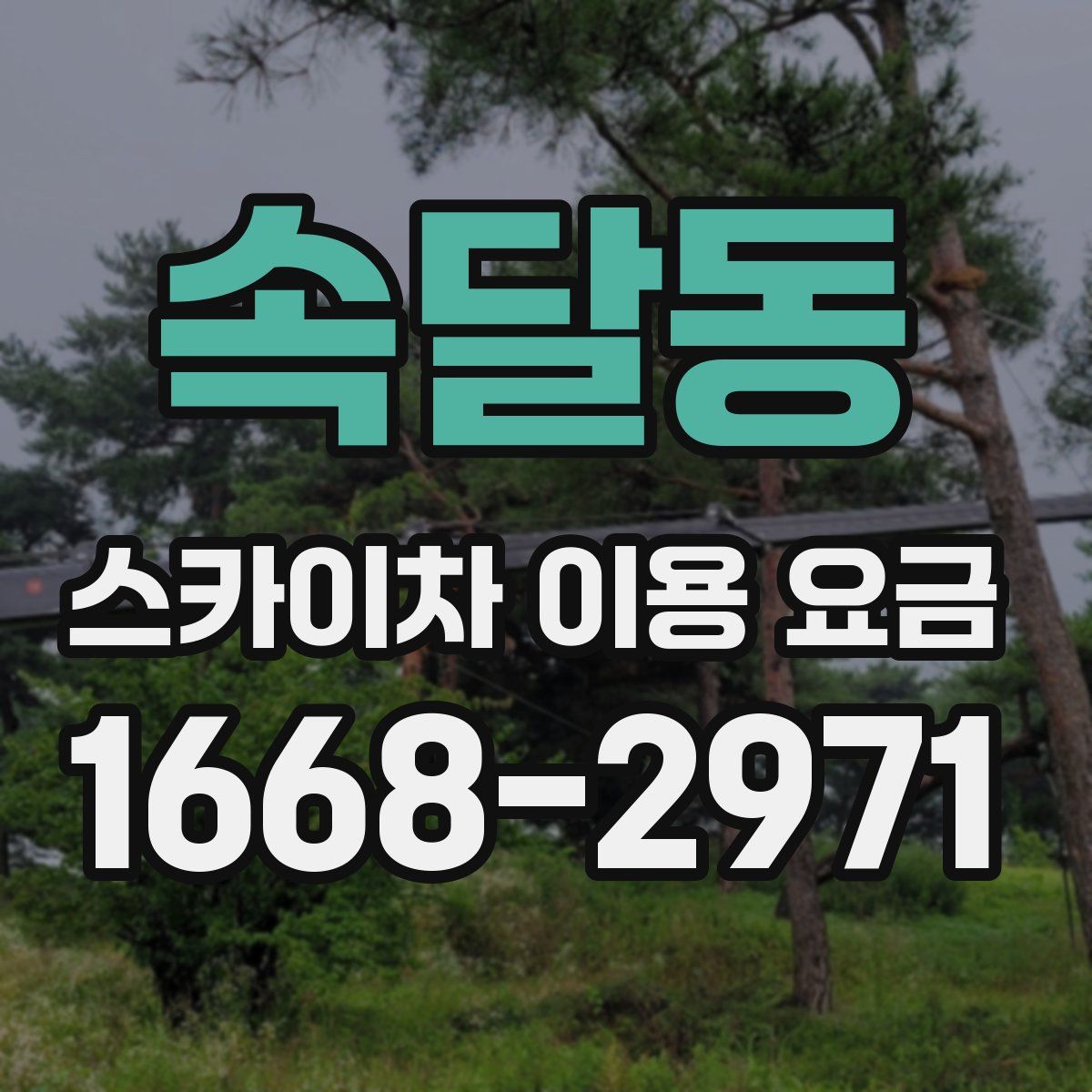 속달동 스카이차 이용 요금