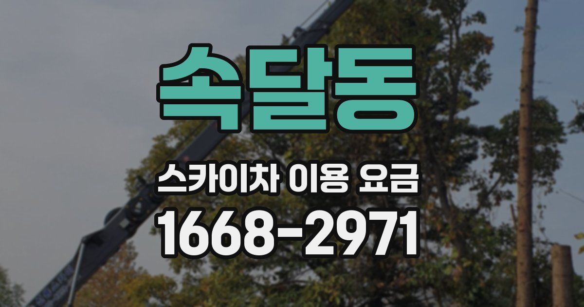 속달동 스카이차 이용 요금