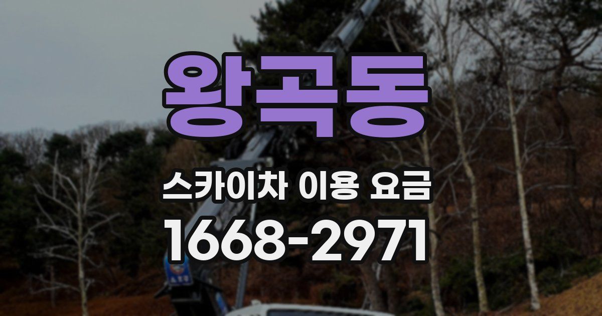 왕곡동 스카이차 이용 요금