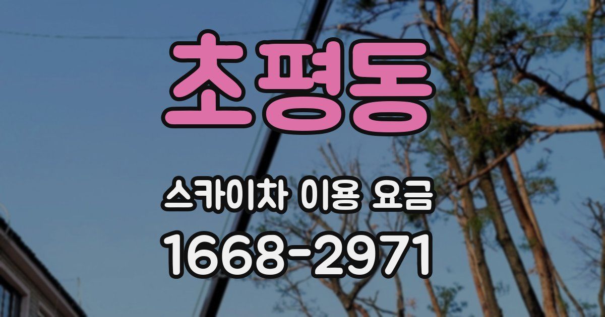 초평동 스카이차 이용 요금