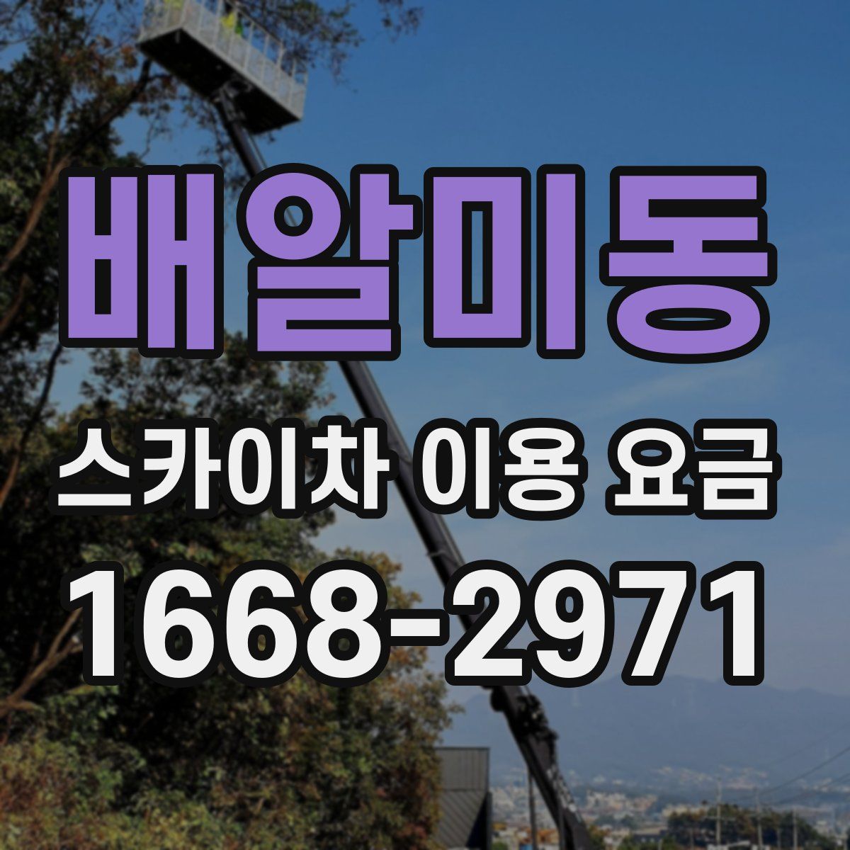 배알미동 스카이차 이용 요금