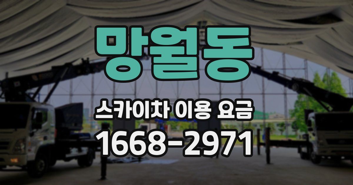 망월동 스카이차 이용 요금