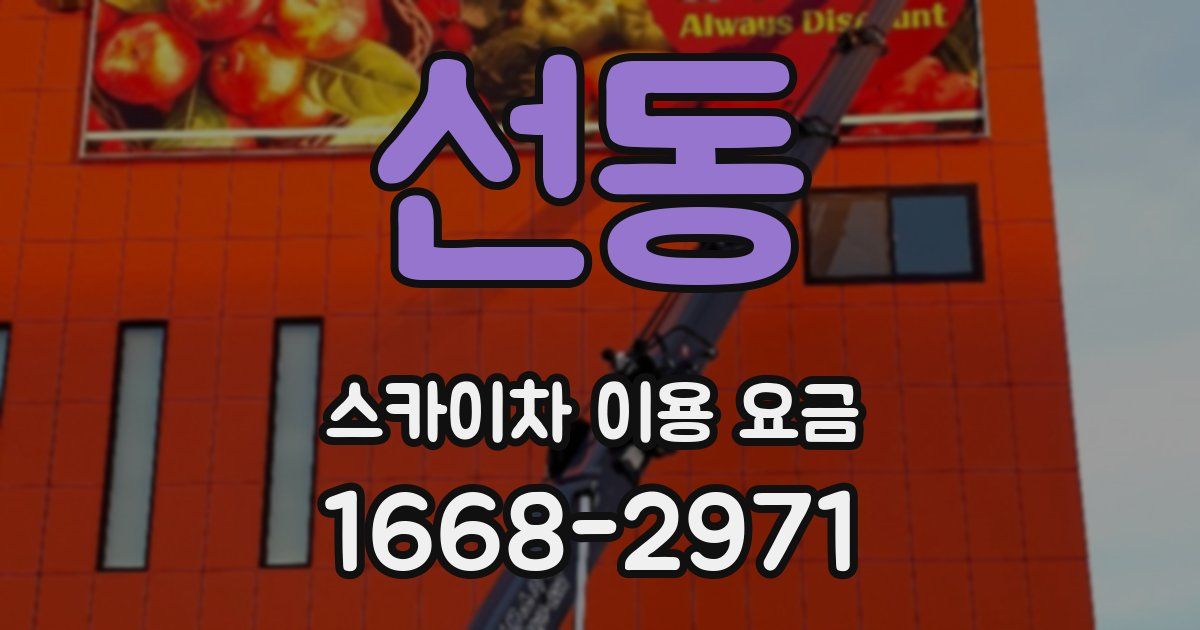 선동 스카이차 이용 요금