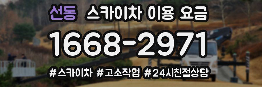 선동 스카이차 이용 요금