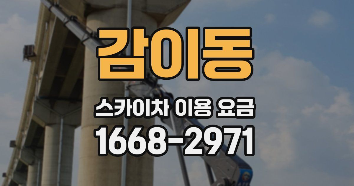 감이동 스카이차 이용 요금