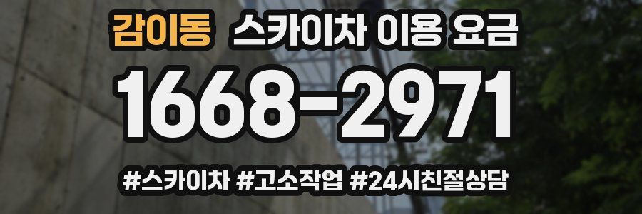 감이동 스카이차 이용 요금