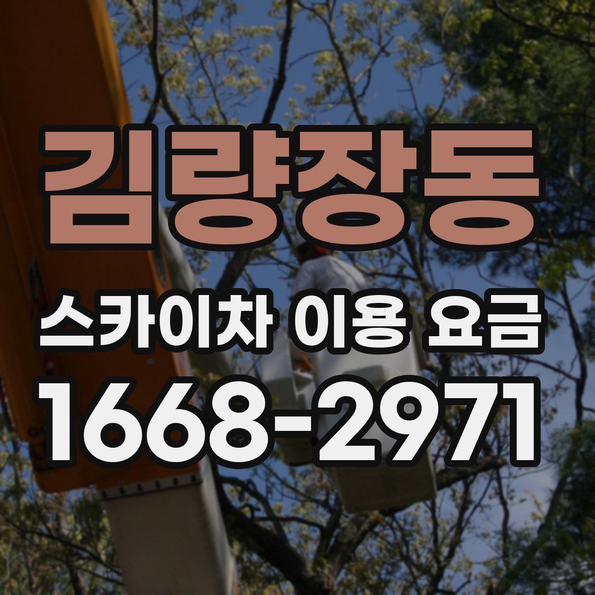 김량장동 스카이차 이용 요금