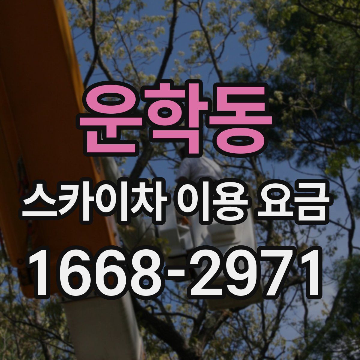 운학동 스카이차 이용 요금