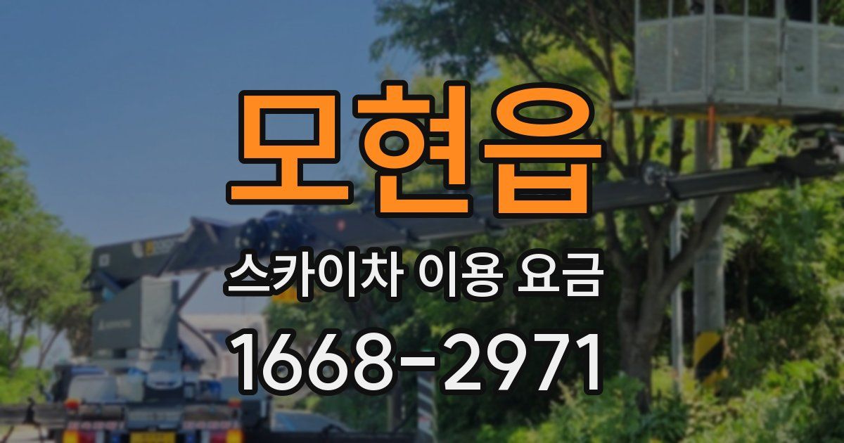 모현읍 스카이차 이용 요금