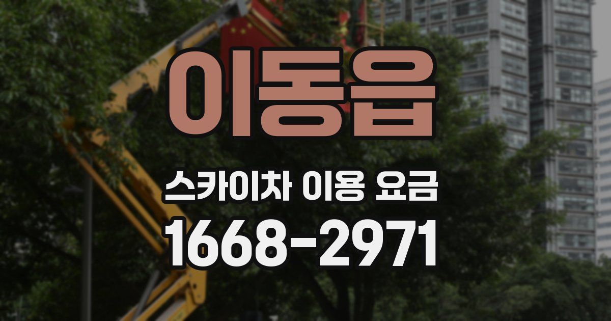 이동읍 스카이차 이용 요금