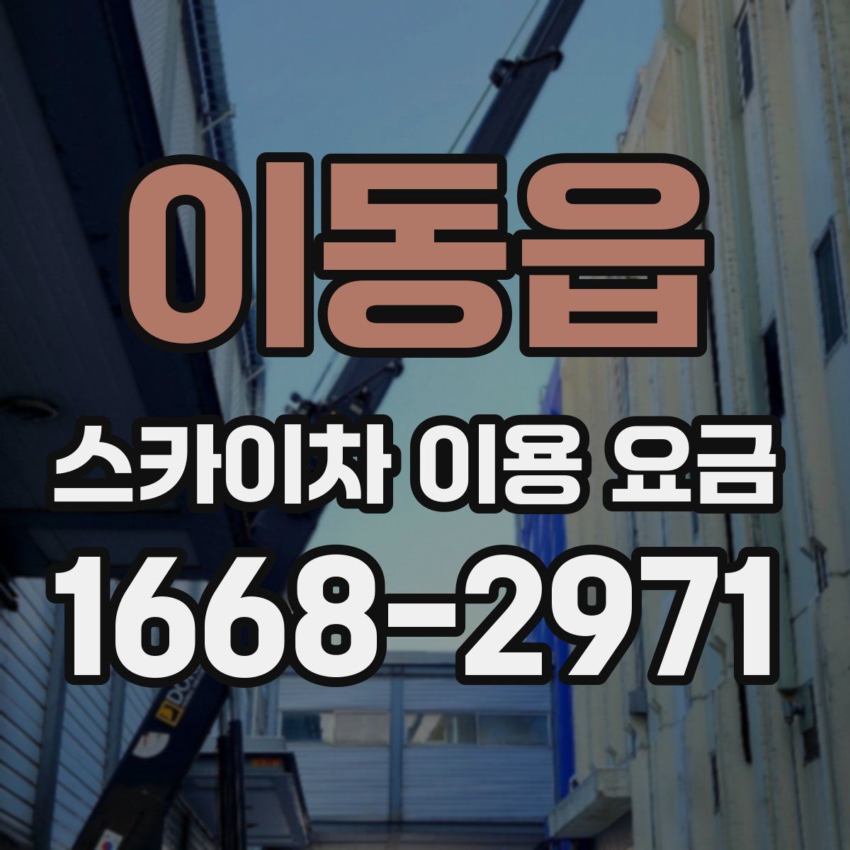 이동읍 스카이차 이용 요금